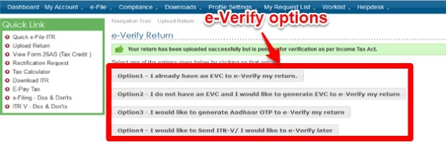 e-Verify Options
