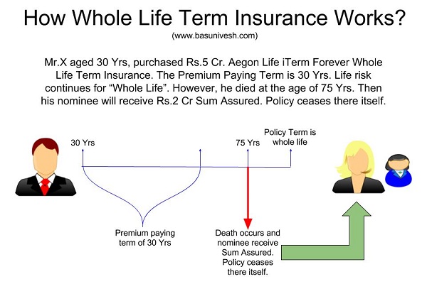 Aegon Life iTerm Forever Whole Life Term Insurance
